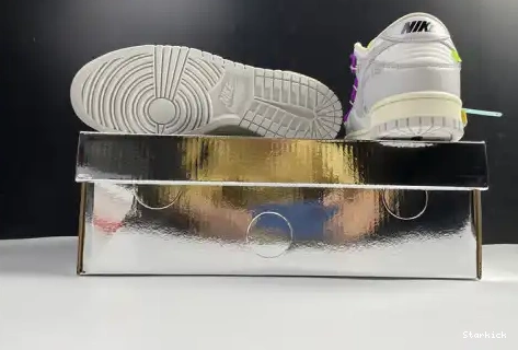 O-W Dunk Nike Low Lot 21 DM1602-100 0429